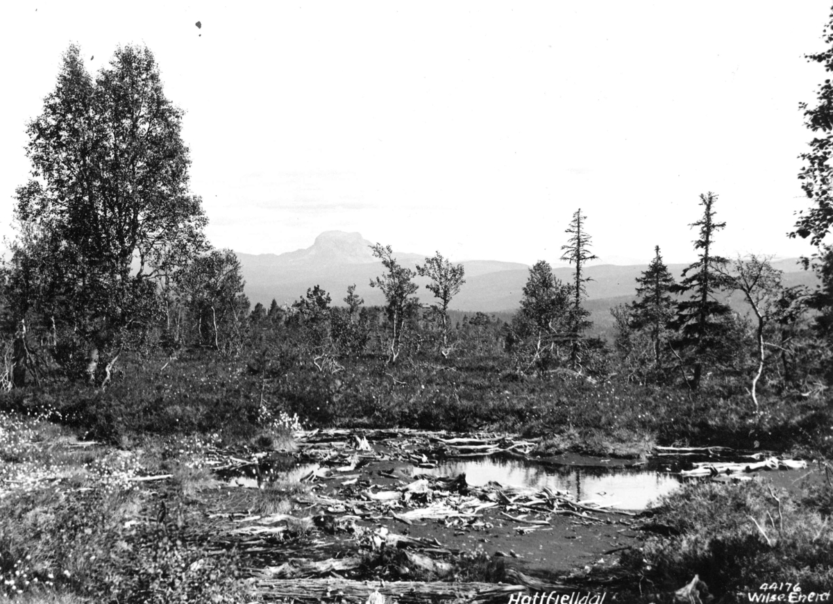 Anders Beer Wilse, Topografi