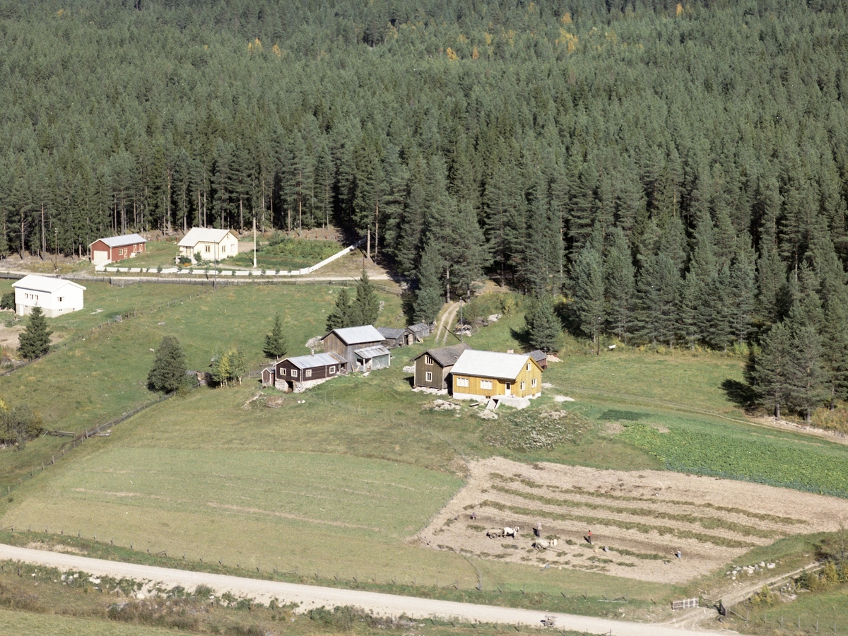 Widerøes Flyveselskap A/S, Gardsbruk