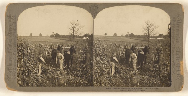 Carleton H. Graves, Typical American farm scenes. Husking corn.