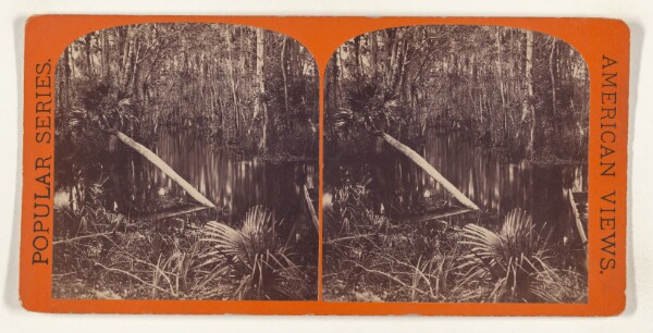 Edward and Henry T. Anthony & Co., View in Silver Spring Run. [on the Ocklawaha River, Florida]