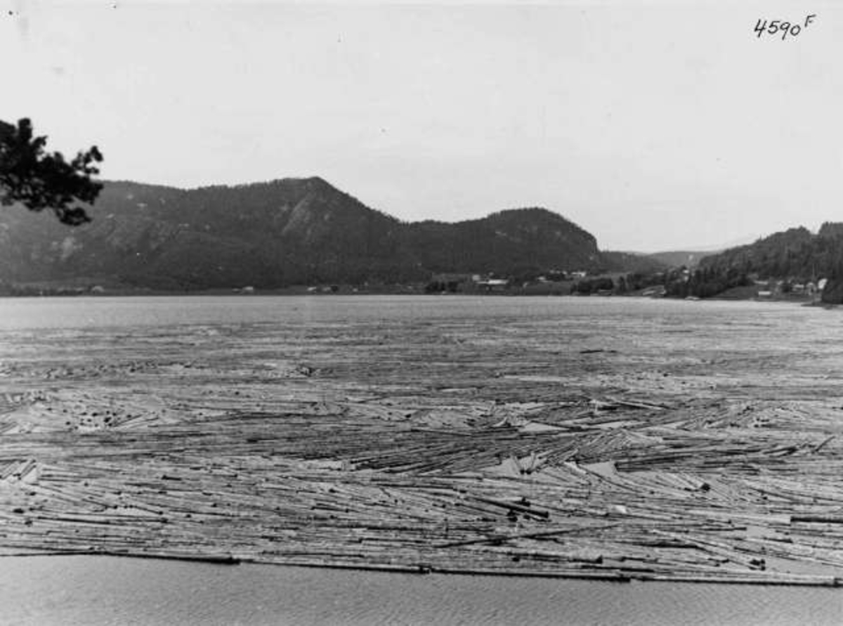 Anders Beer Wilse, Tømmerfløting i Namsen, ved Fjærbotnet på Bangsund i Namsos, Nord-Trøndelag, 1936. Fra protokoll:" Trøndelag Tømmer i Namsen 1936"