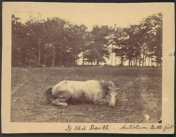 Alexander Gardner, Is This Death - Antietam Battlefield, September 1862