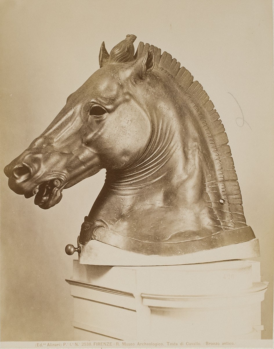 Fratelli Alinari, Pferdekopf, antike Bronze, Museo Archeologico, Florenz