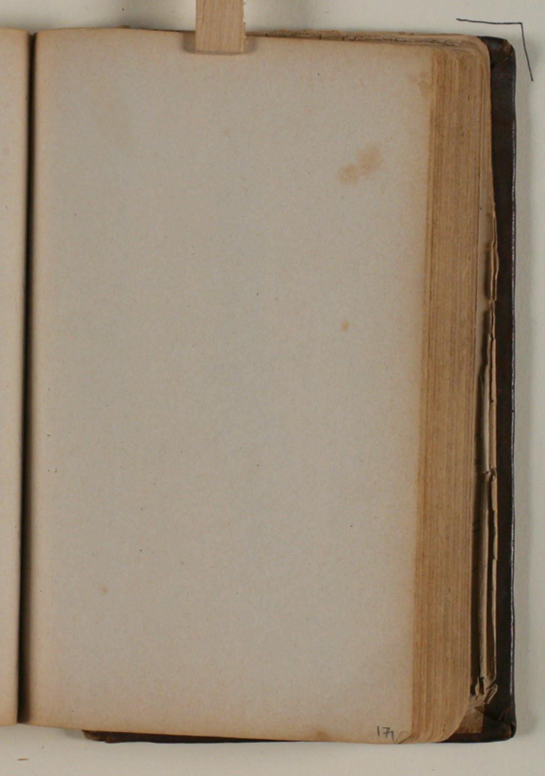Niels Larsen Stevns, Blank