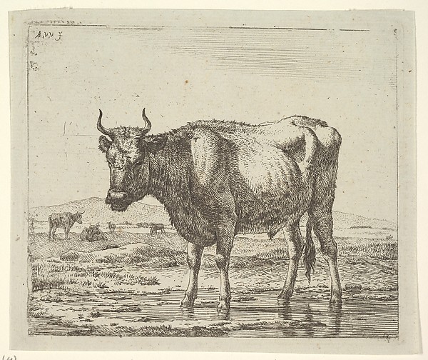 Adriaen van de Velde, Bull Standing in Water, plate 6 from "Different Animals"