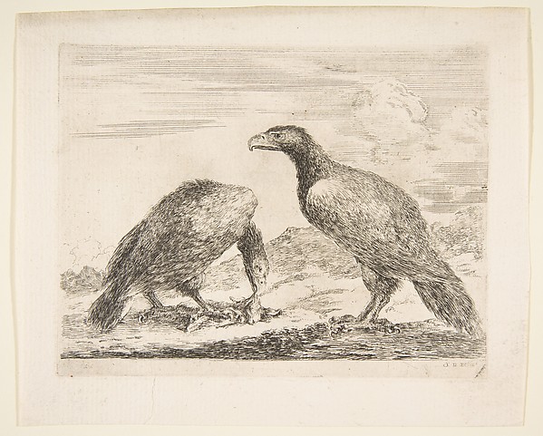Stefano della Bella, Two eagles, one devouring a lamb, from 'Eagles'  (Les aigles)