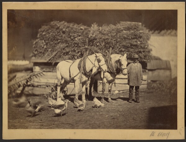 Adolphe Braun, [Farmyard Scene]