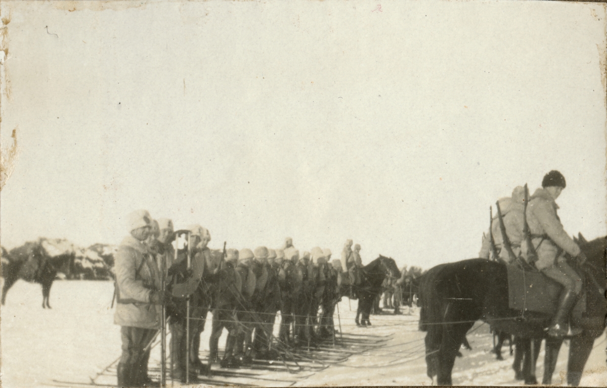Sigrid Sjöström, Interpretation by horse.