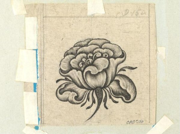 Unknown, Drawing