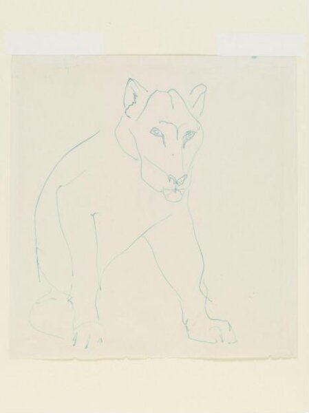 Henri Gaudier-Brzeska, Drawing