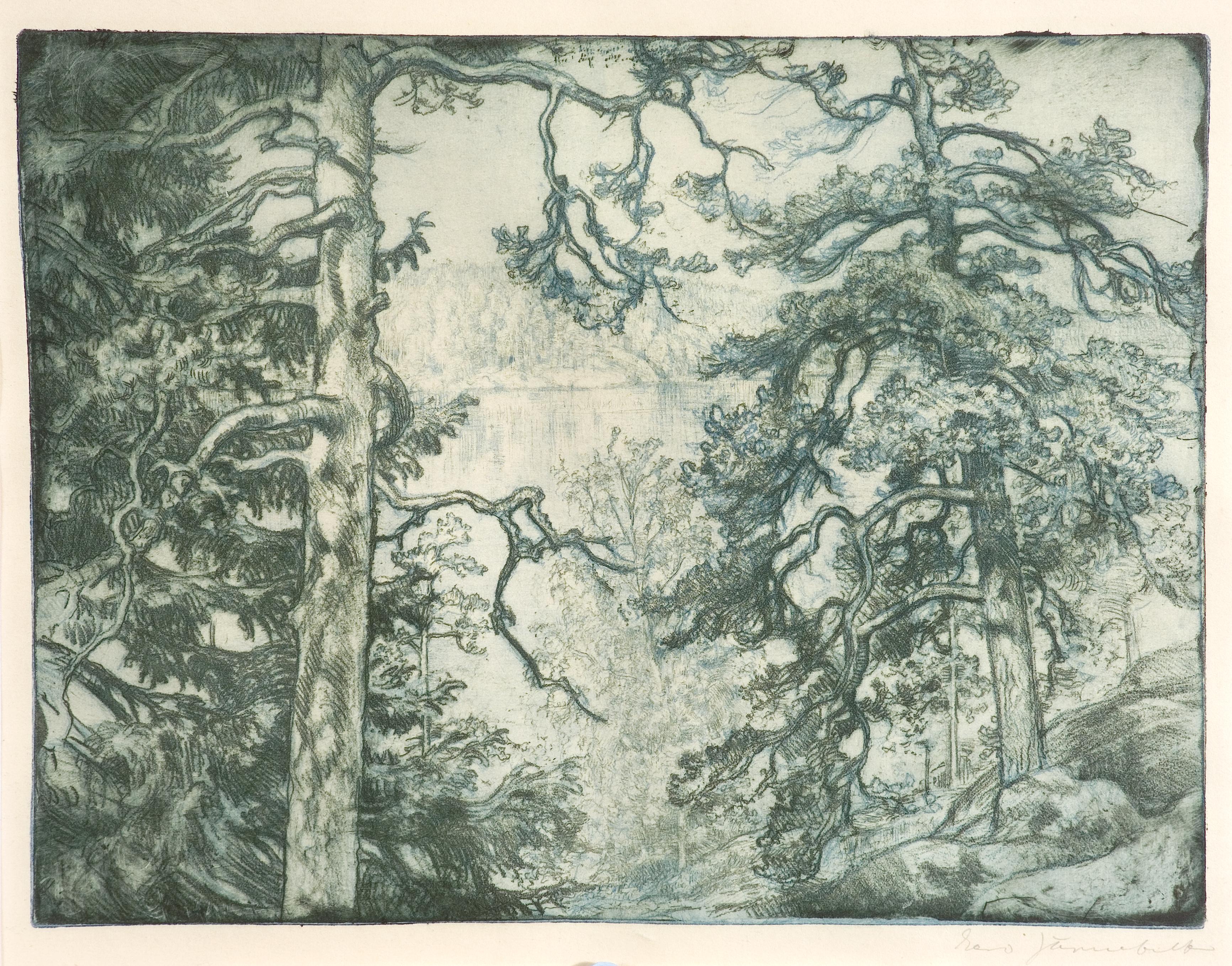 Eero Järnefelt, Näkymä järvelle