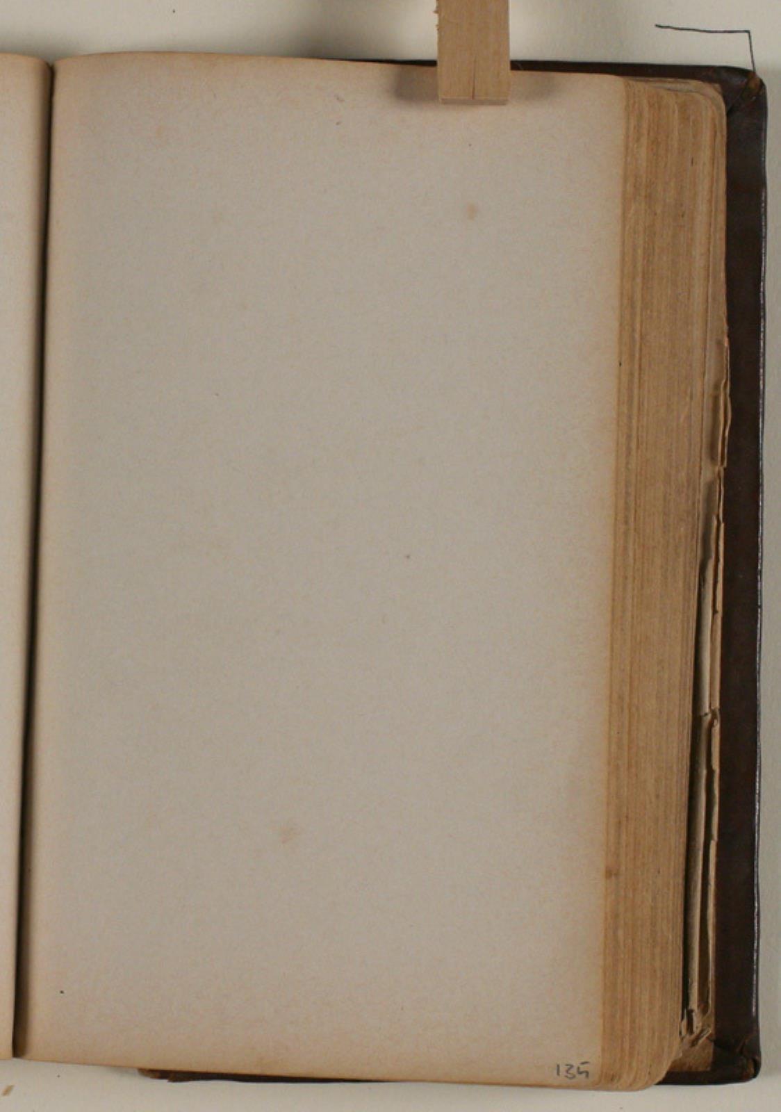 Niels Larsen Stevns, Blank