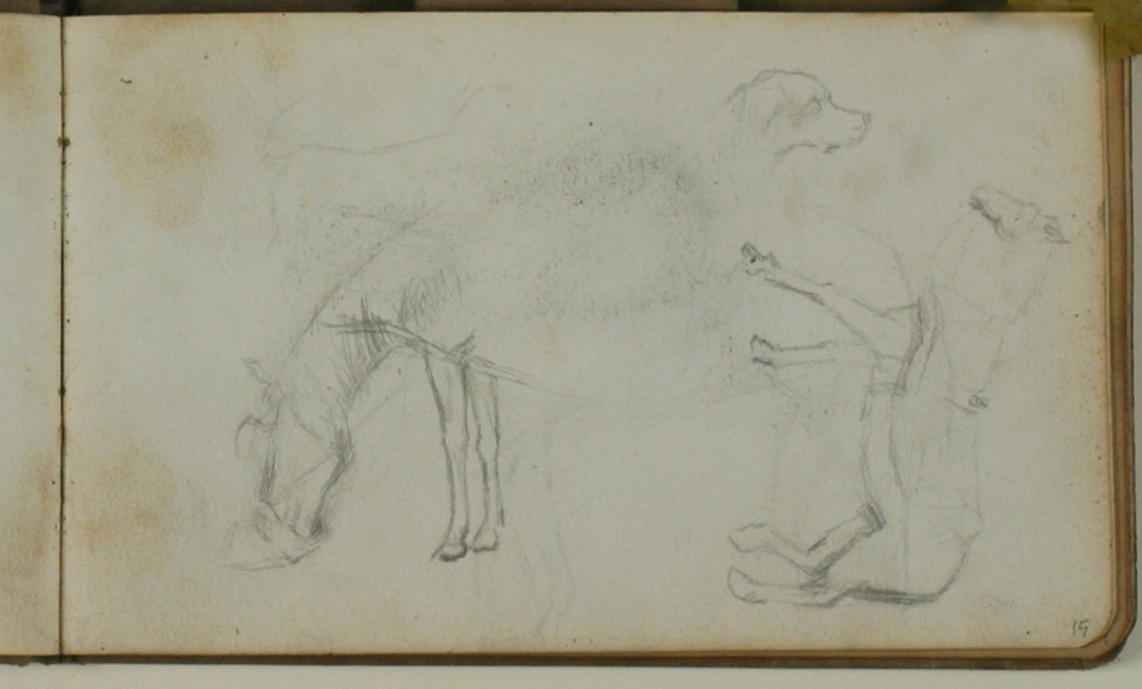 Niels Larsen Stevns, Studie af heste