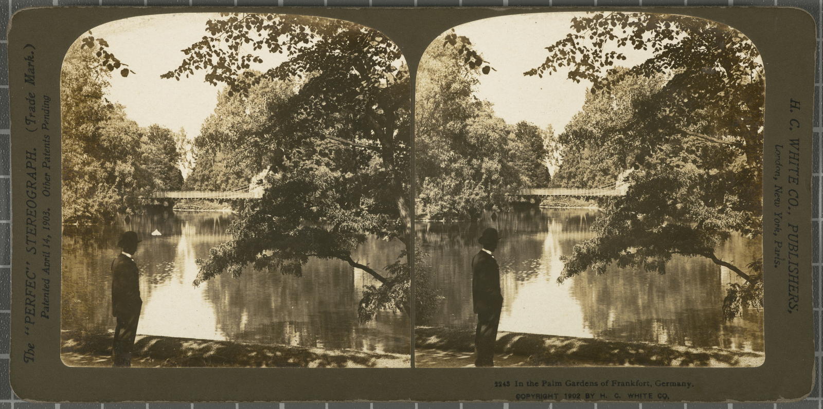 Desconegut, In the Palm Gardens of Frankfort, Germany. White, H.C. & Co., The "Perfec" Stereograph
