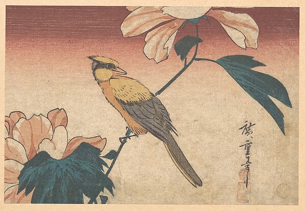 Utagawa Hiroshige, Hibiscus Mutabilis and Jay