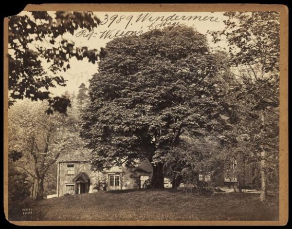 Francis Frith, Photograph