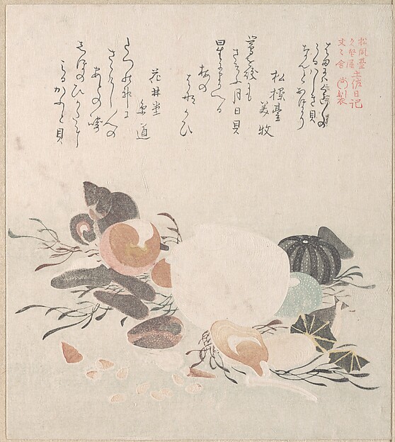 Kubo Shunman, Various Shells with Sea Weeds