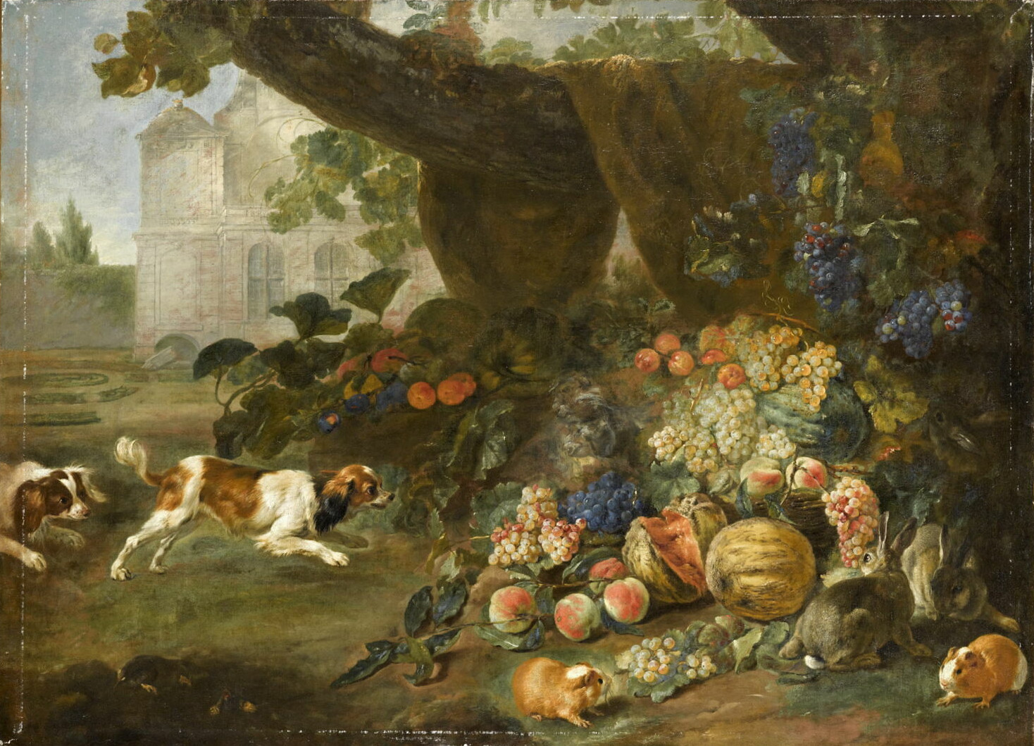 Alexandre-François Desportes, Chiens, lapins, cochon d'Inde et fruits