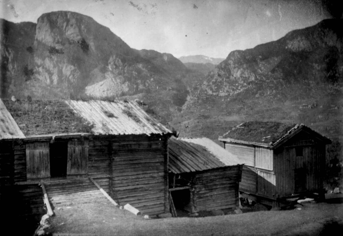 Ukjent, Fra en serie fotografier fra et album som har tilhørt folklorist og professor Moltke Moe (1859-1913), antatt fra 1880-årene med motiver fra Telemark.