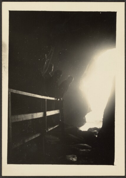 Louis Fleckenstein, [San Diego Zoo]