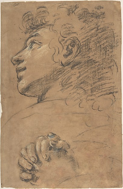 Giacomo Cavedone, Profile Head of a Youth Looking to Upper Left, and Study of Clasped Hands