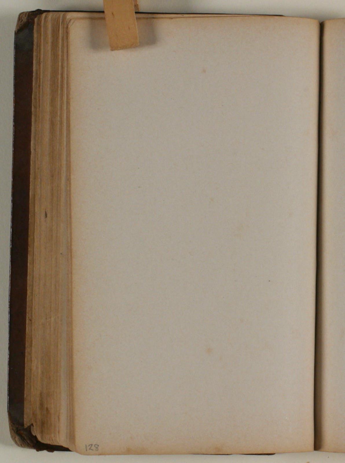 Niels Larsen Stevns, Blank