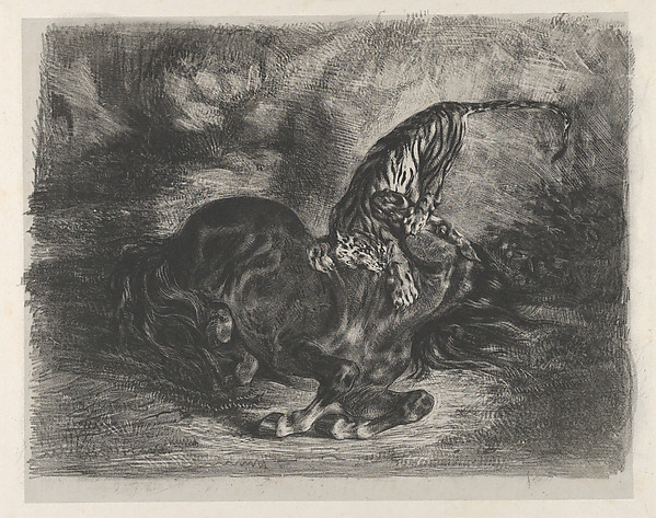 Eugène Delacroix, Wild Horse Felled by a Tiger