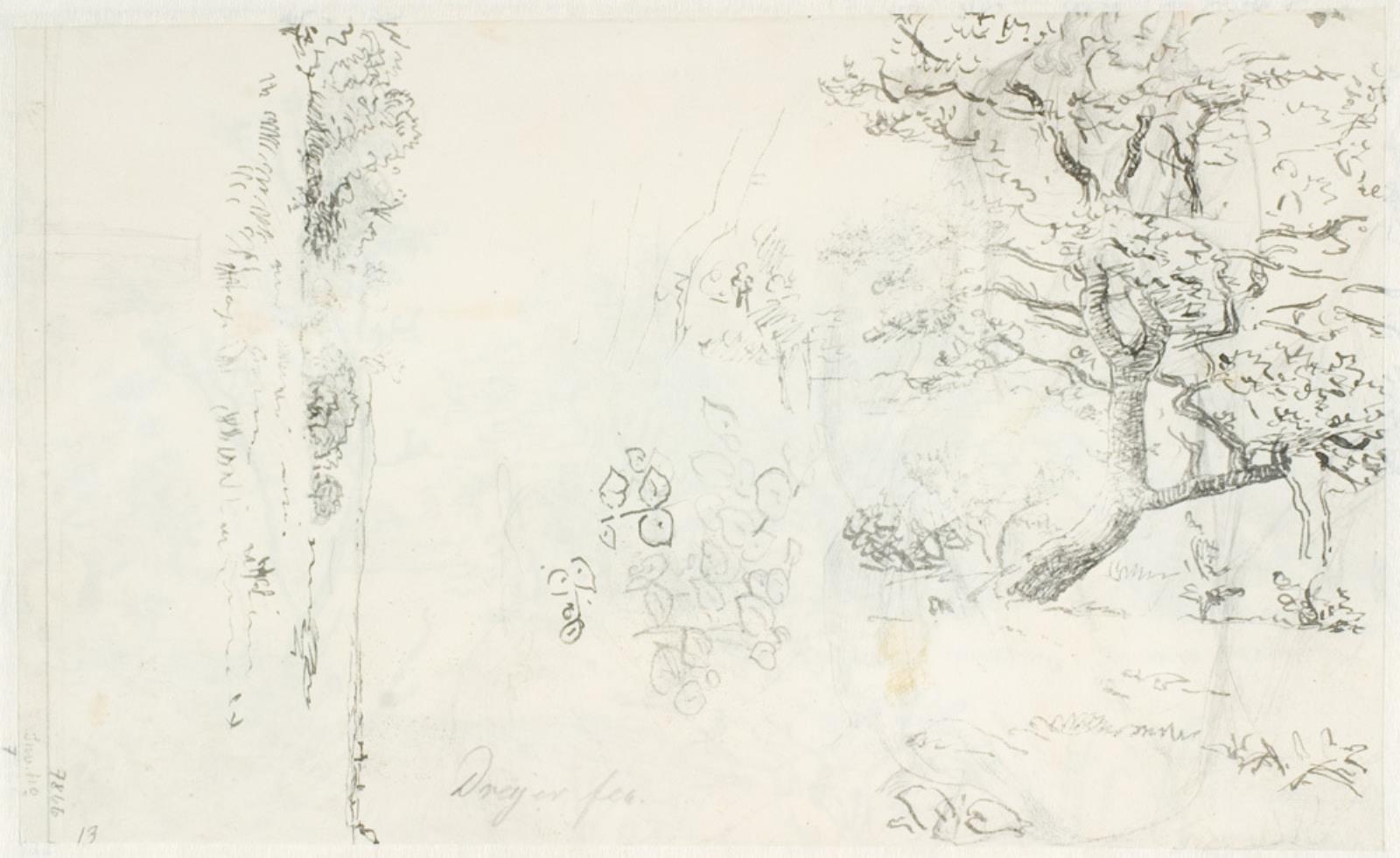 Dankvart Dreyer, Studier af et egetræ, blomster, o.a.