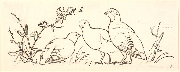P.C. Skovgaard, Tre agerhøns. Dekorativt udkast.