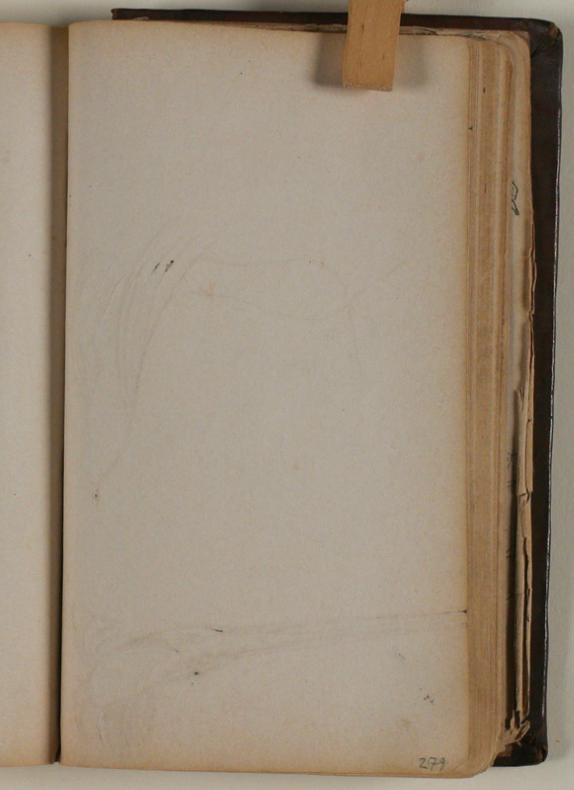 Niels Larsen Stevns, Blank
