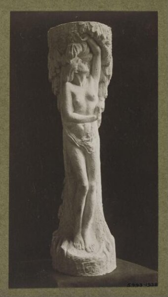 unknown, Photograph