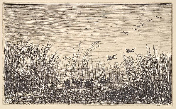 Charles-François Daubigny, Ducks in the Marshes