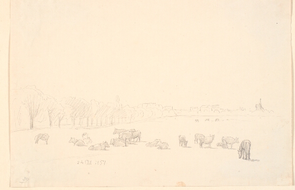 P.C. Skovgaard, Køer på fælleden, i baggrunden Tagens Mølle