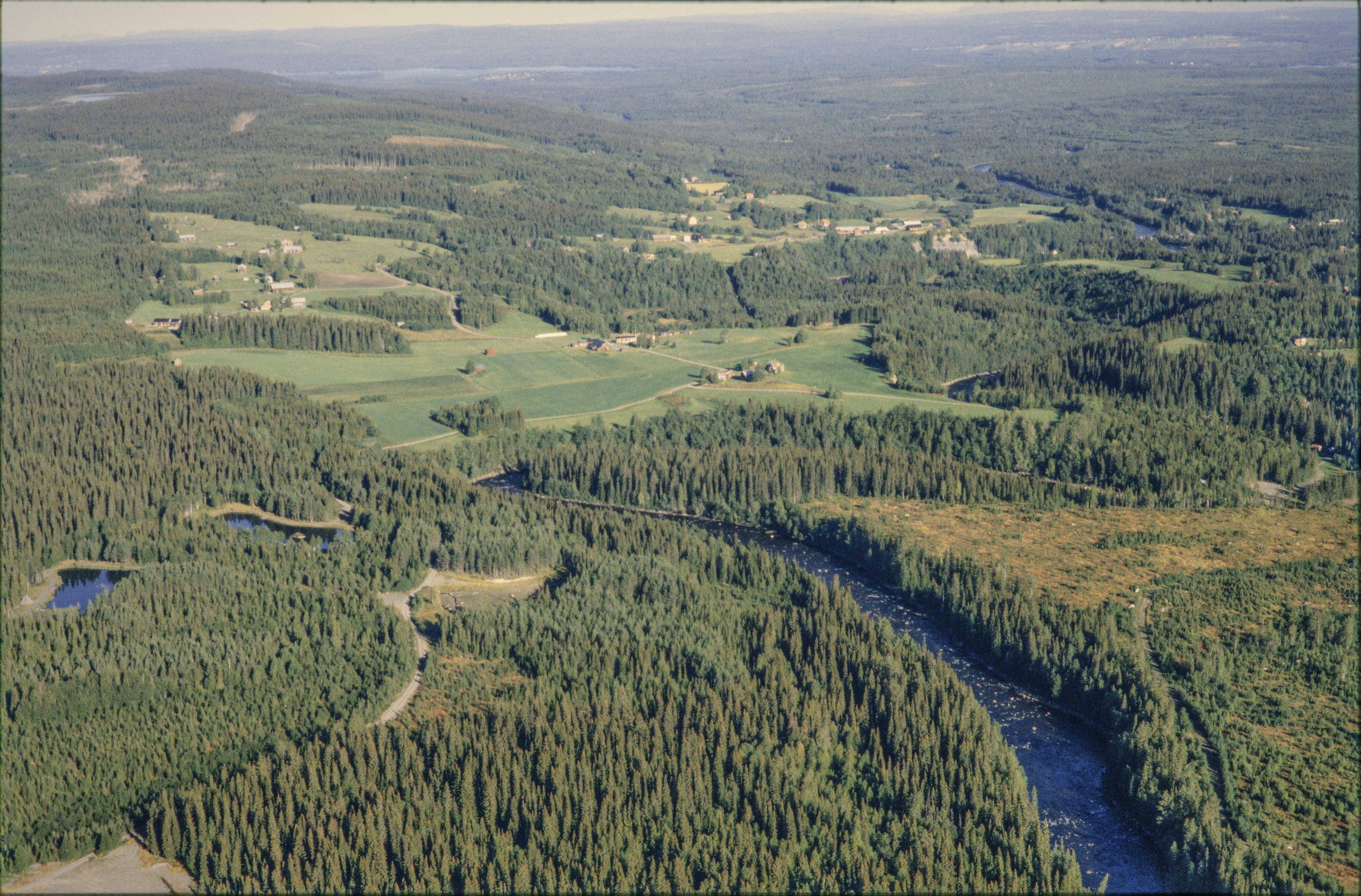 Jan Norrman, Hallen 332