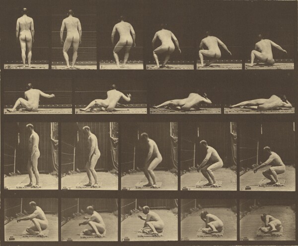 Eadweard J. Muybridge, Animal Locomotion