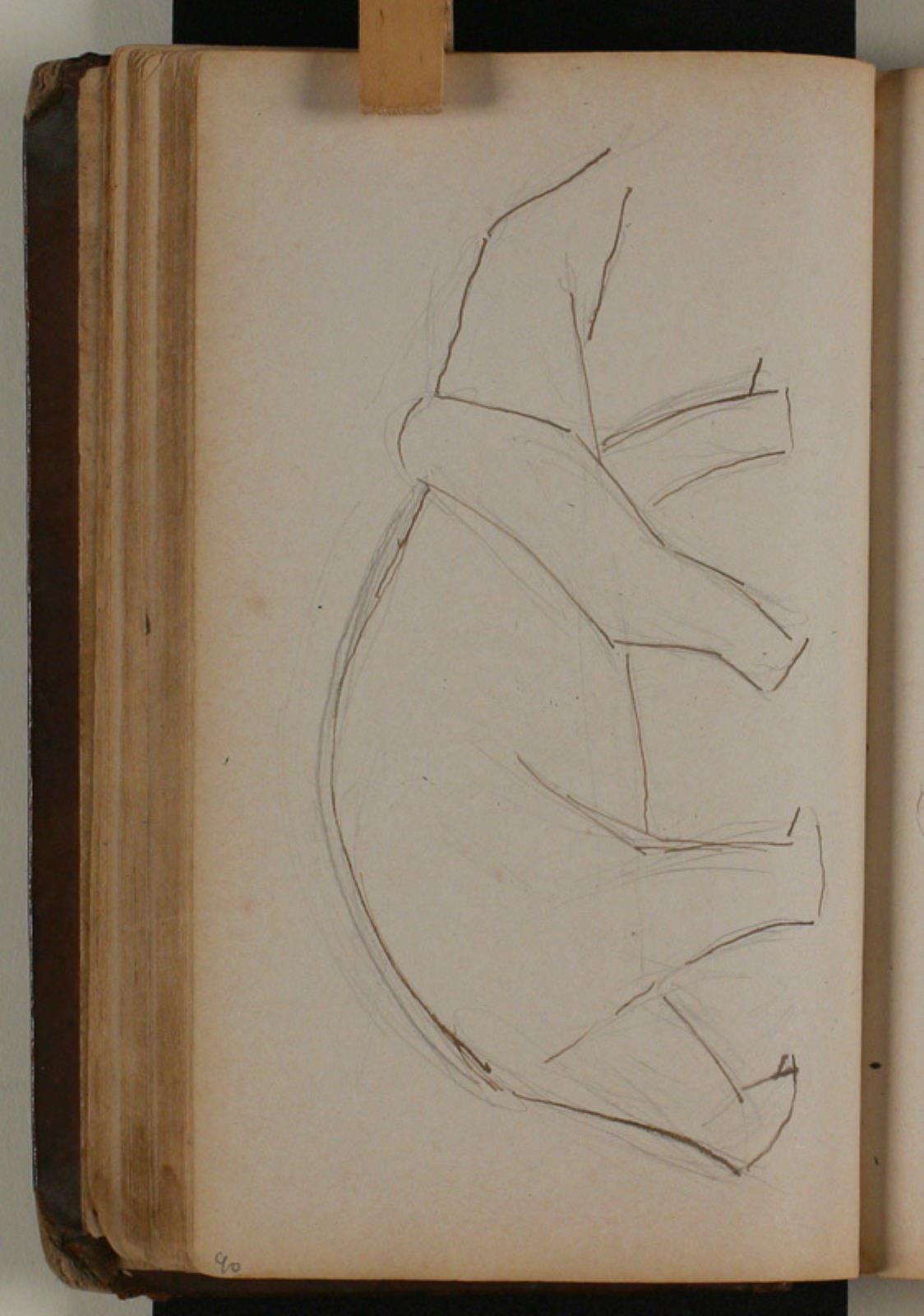 Niels Larsen Stevns, Studie af isbjørn