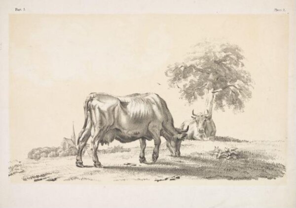 Unknown, Print