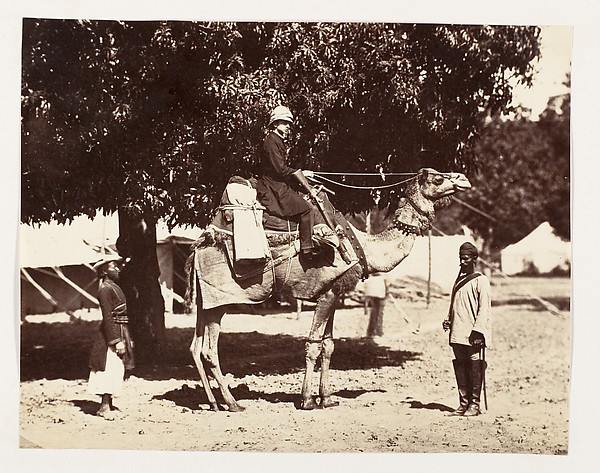 Unknown, [J.C.S. on a Riding Camel]