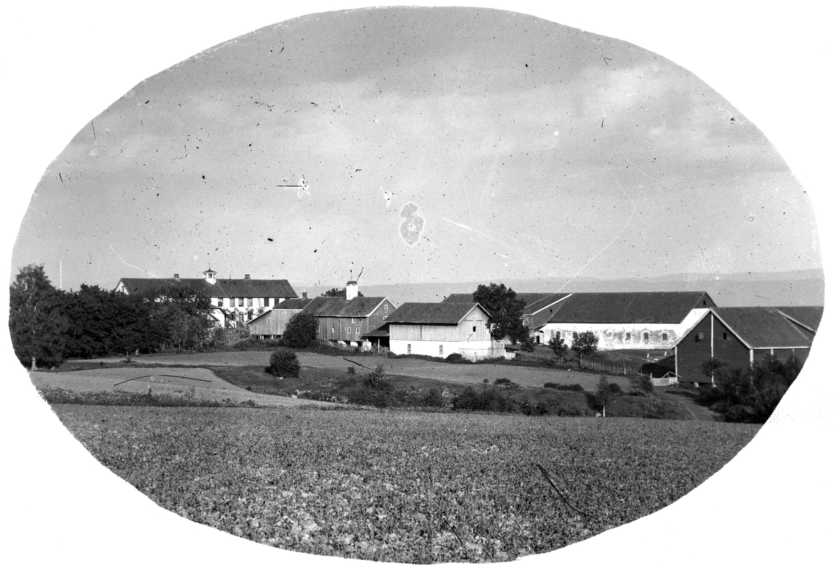 Jacob Tollesen Hoel, Hovinsholm gård, Helgøya i Ringsaker. Gården sett fra "skijordet". Foto Jacob Hoel 1885.