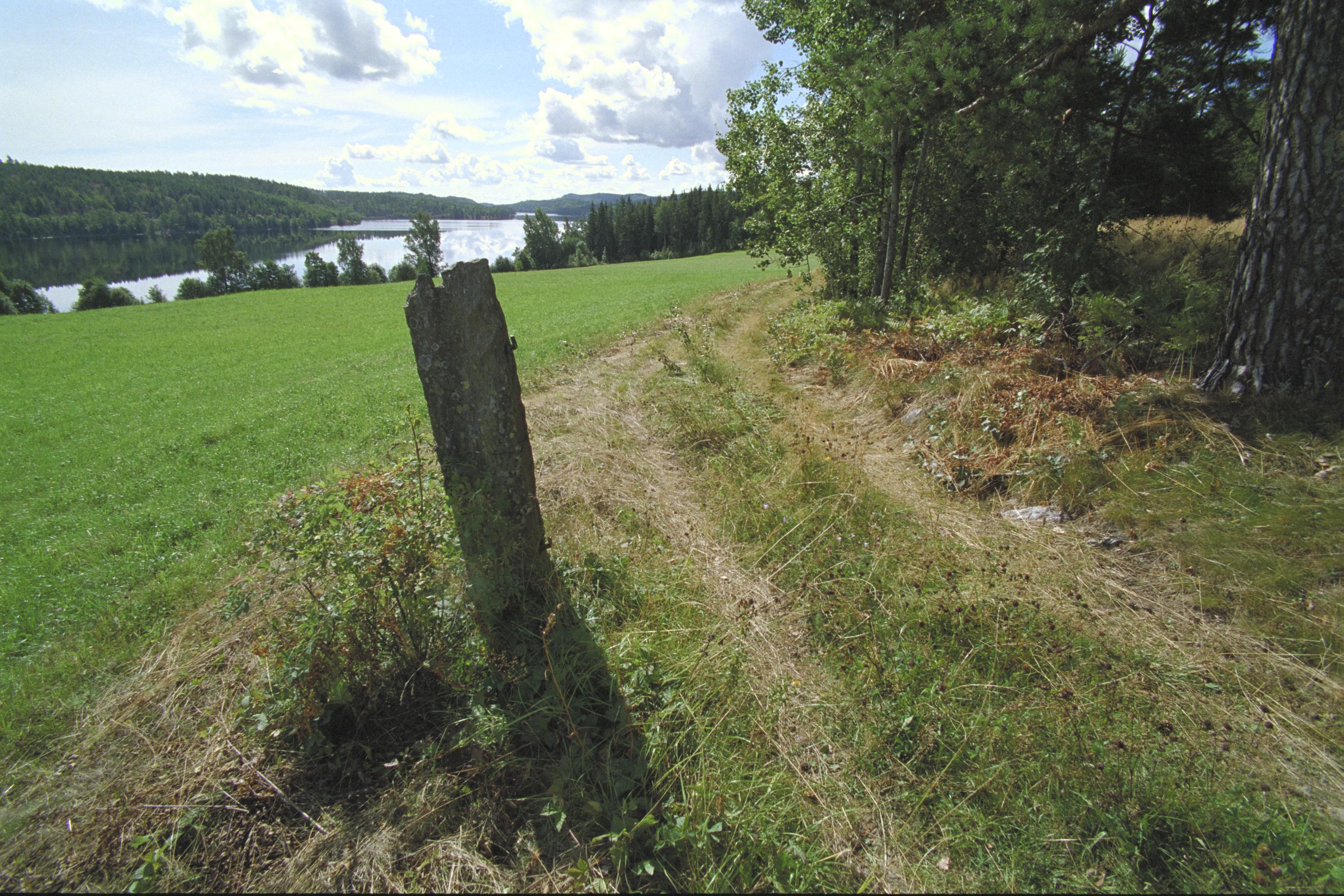 Bengt A Lundberg, Tisselskog