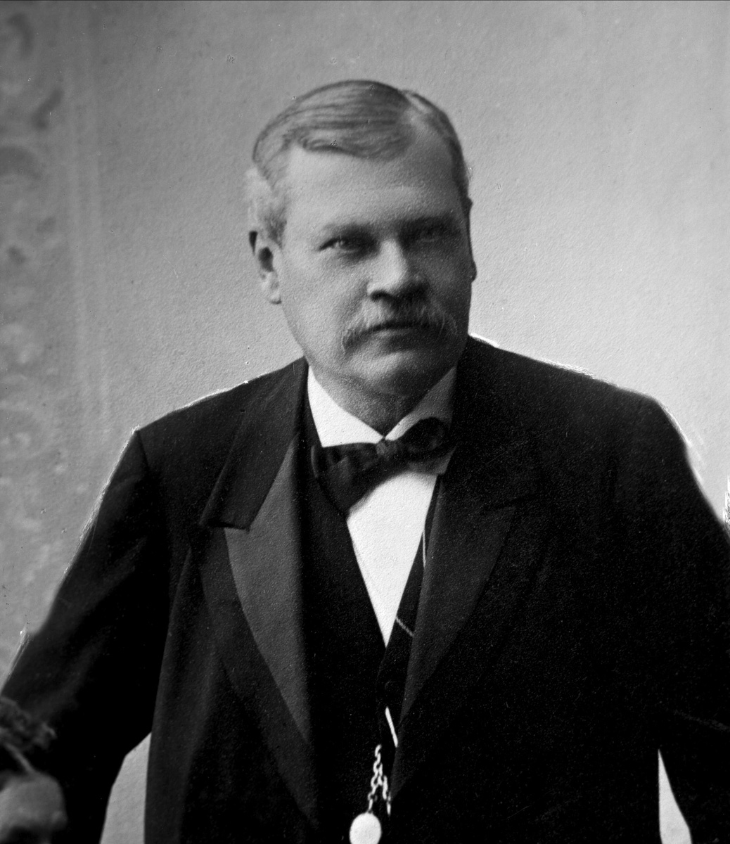 Gustav Borgen, Avfotografering.