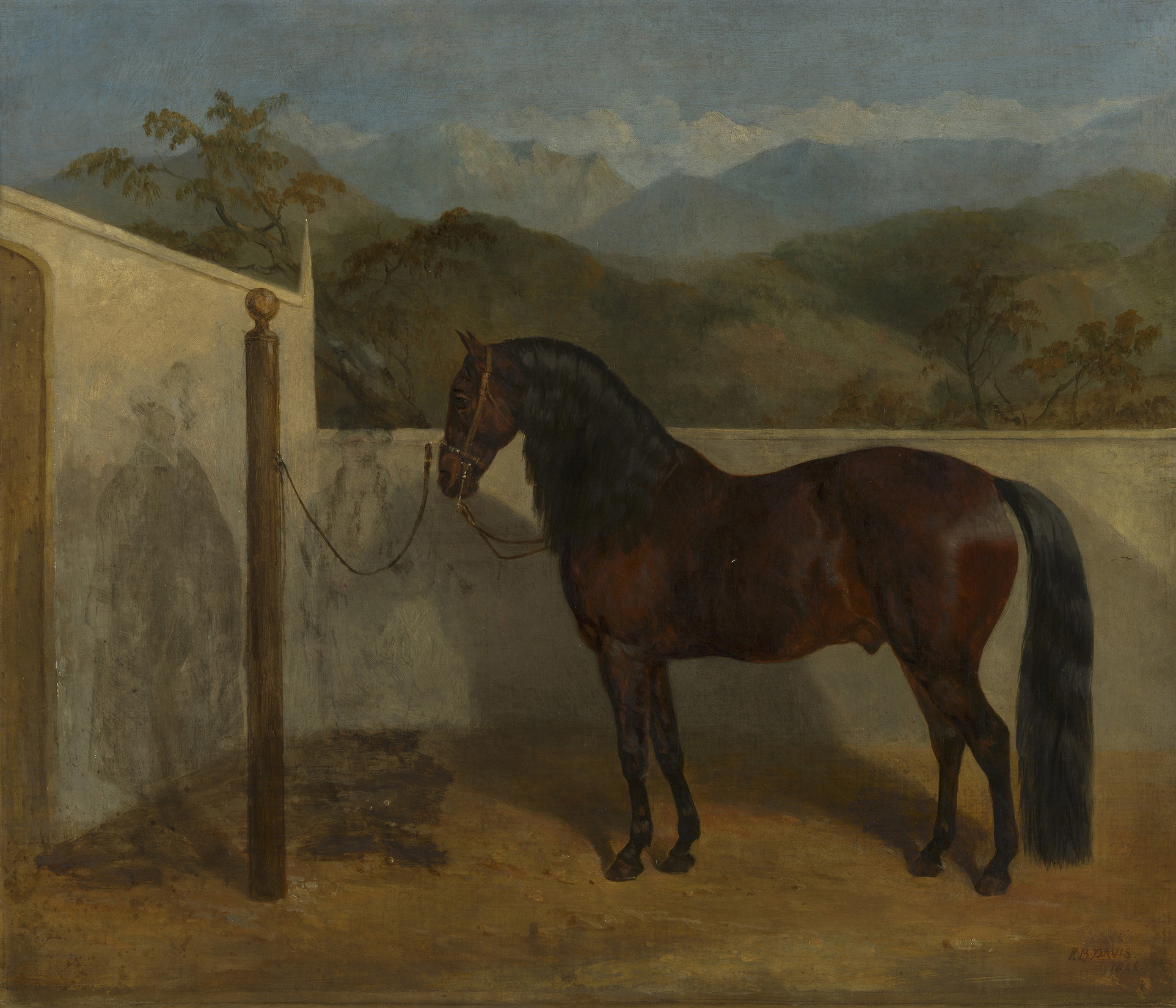Richard Barrett Davis, Malpeinado