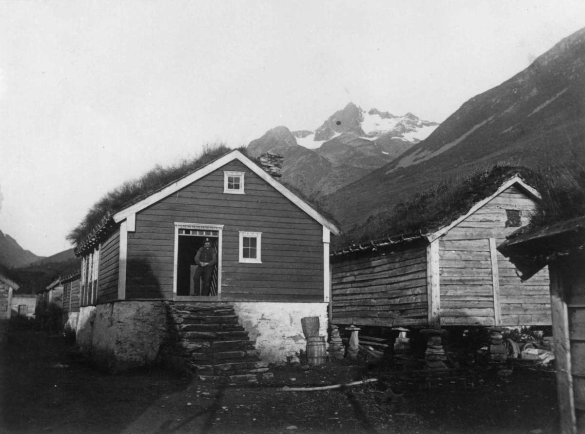 Knud Knudsen, Parti ved Rise i Bondalen, Søndmør.