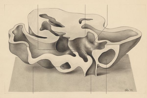 J Tinkelenberg, Embryonic heart