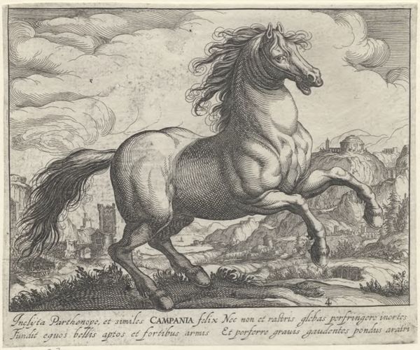Panderen, Egbert van, (1581-1637?), (printmaker), Horse breeds: Landscape with a horse from Campania