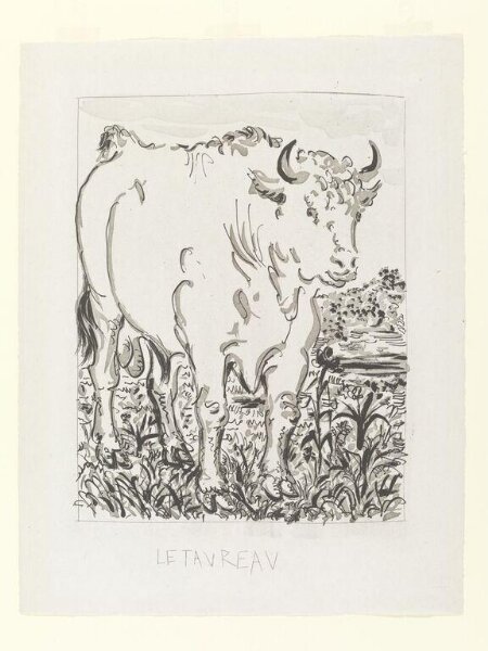 Pablo Picasso, Histoire Naturelle
