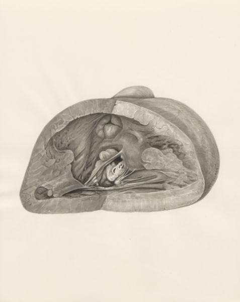 H.G Wetselaar, Heart