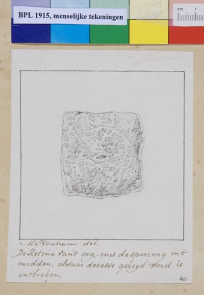 M Houtman, Eye