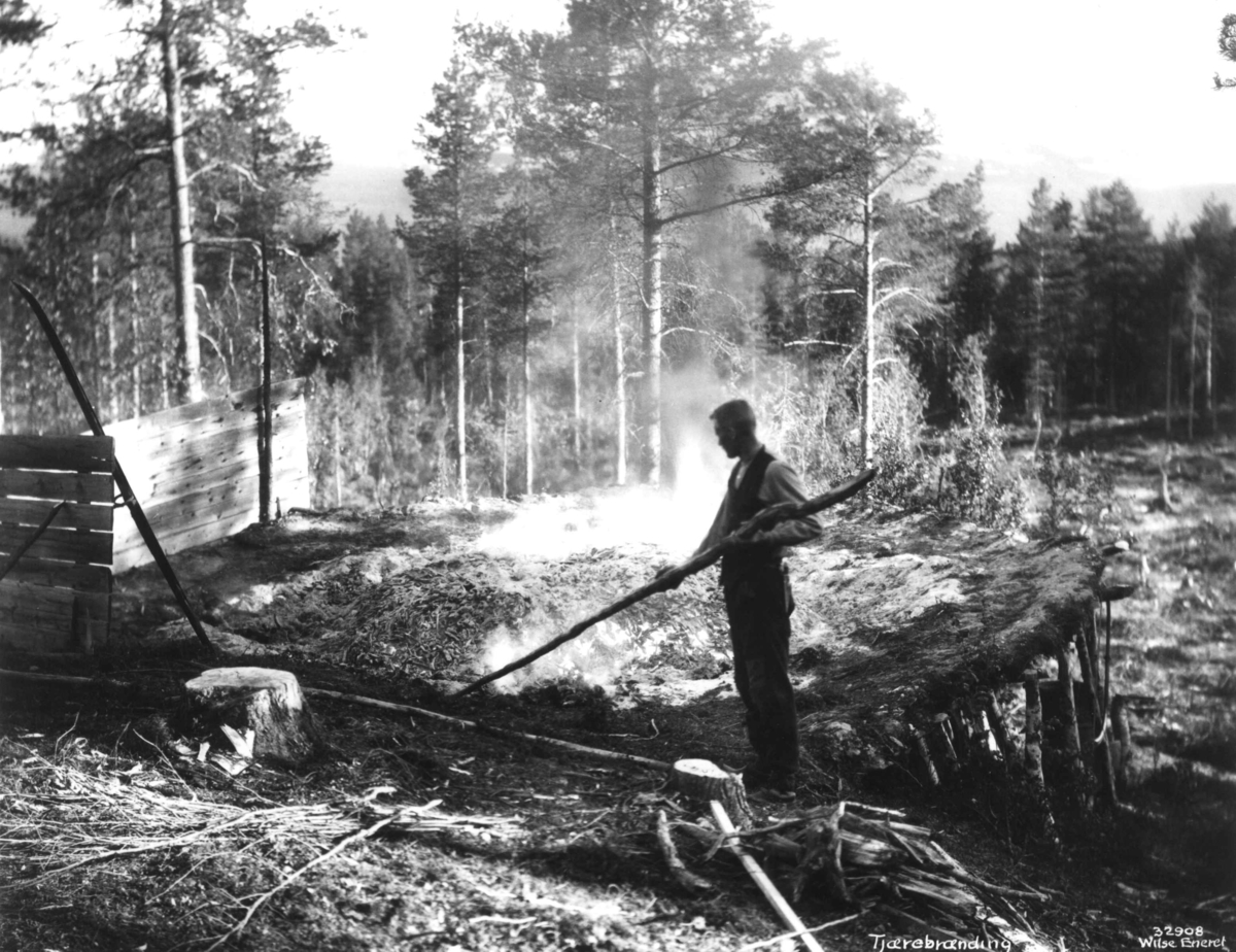 Anders Beer Wilse, Tjærebrenning, Målselv