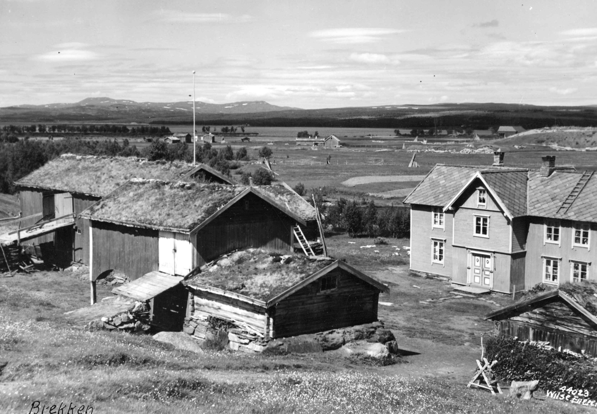 Anders Beer Wilse, Topografi